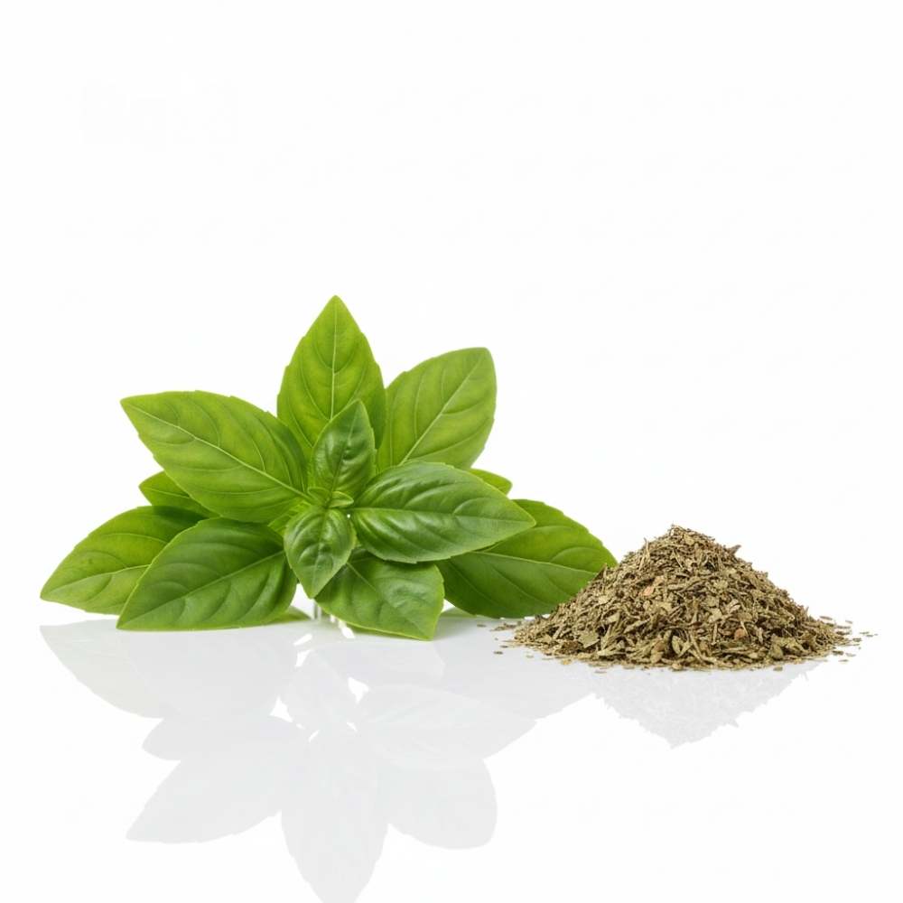 Basil