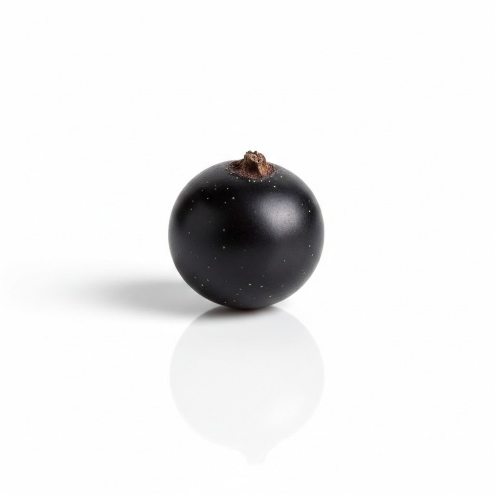 Black Currant