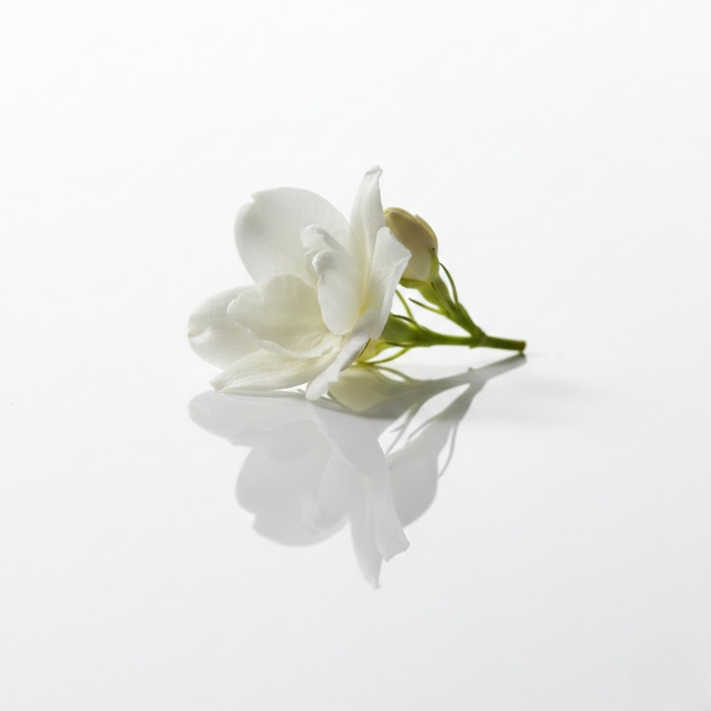 Jasmine